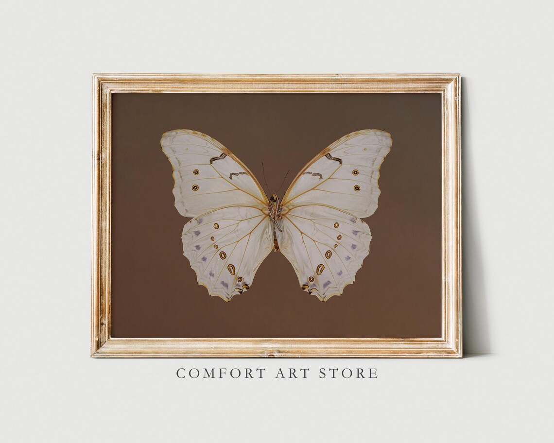 Vintage Butterfly Print, Rustic Cottagecore Wall Art