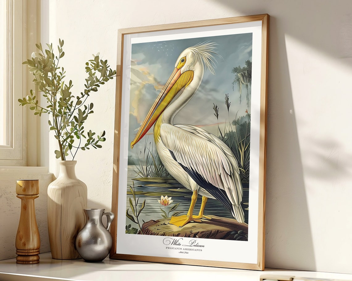 White Pelican Audubon Style Vintage Bird Art Gallery Wall Poster - Image 6