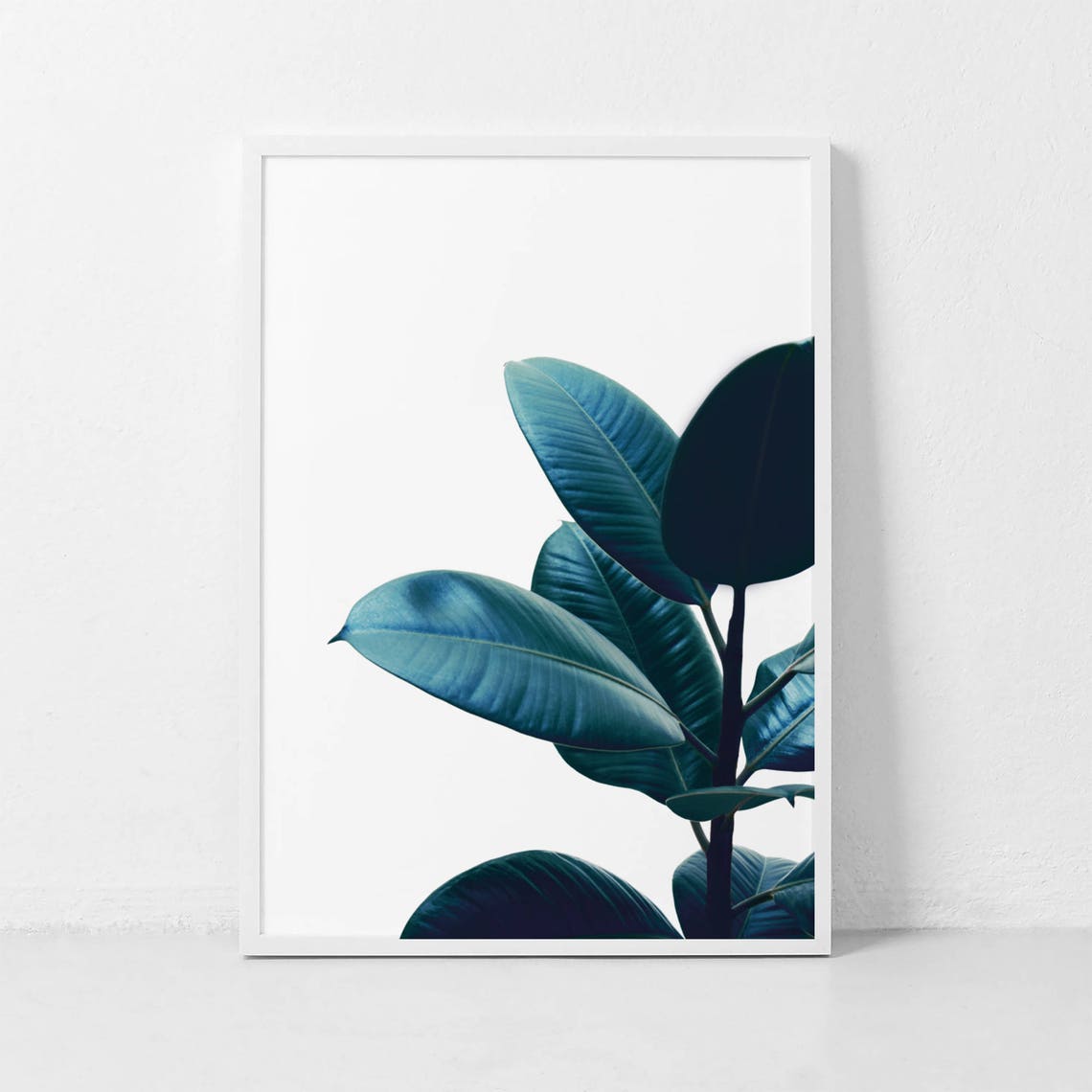 Ficus Elastica Dark Green Rubber Plant Leaf Photography Poster
