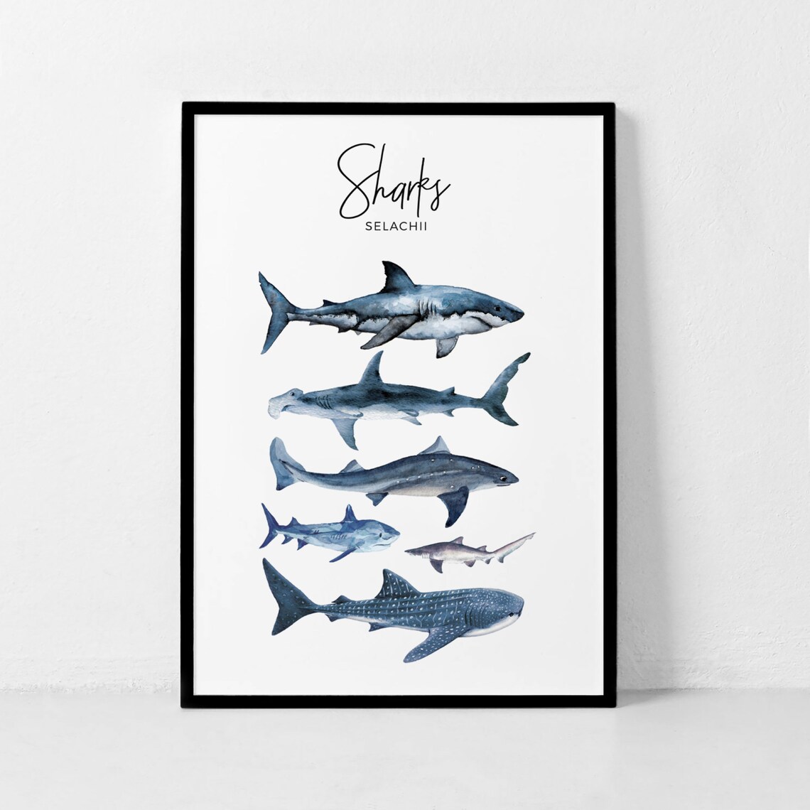 Shark Species Watercolor Poster, Kids Room Decor - Image 3