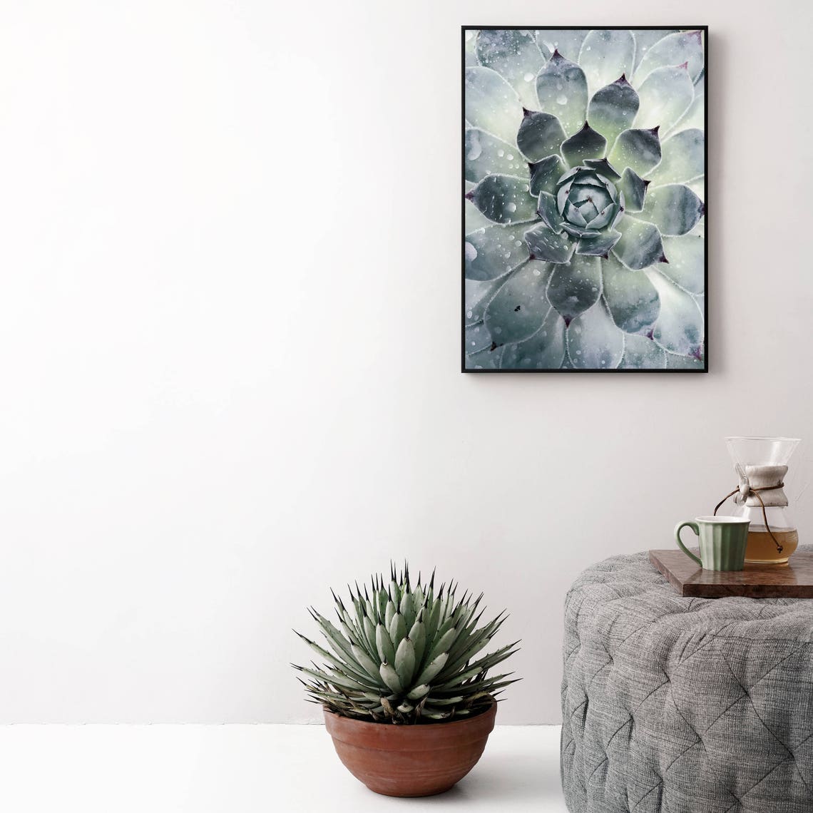 Succulent Rosette Macro Photography Print for Plant Lovers Decor - Image 3