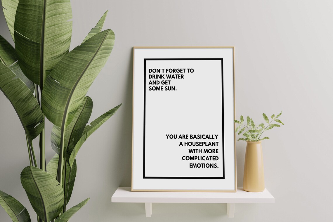 Don't Forget To Drink Water And Get Some Sun Houseplant Quote Poster - Image 3