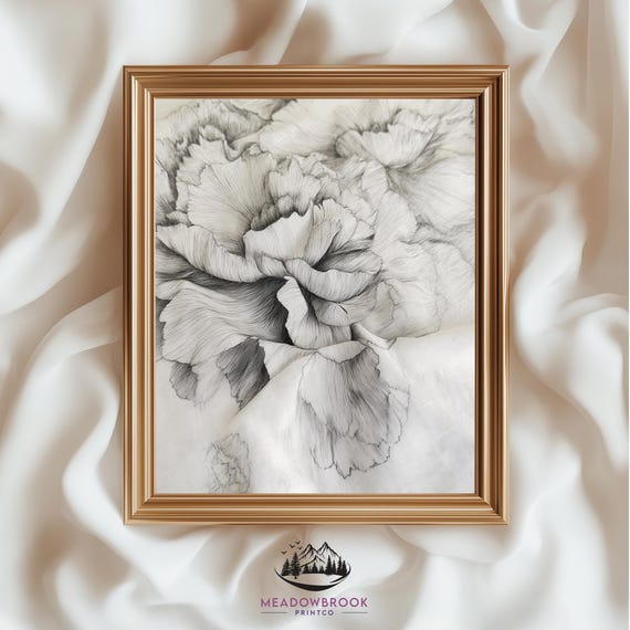 Carnation Pencil Drawing Vintage Botanical Art Print
