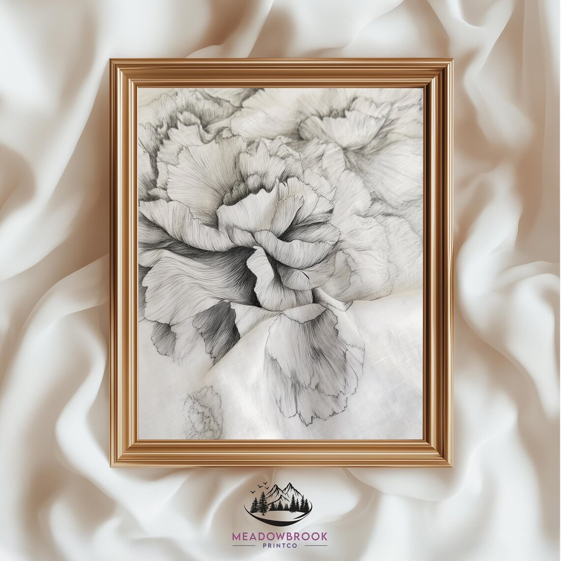 Carnation Pencil Drawing Vintage Botanical Art Print