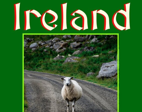 Ireland Sheep Country Road Photo Poster Irish Countryside Travel Wall Art