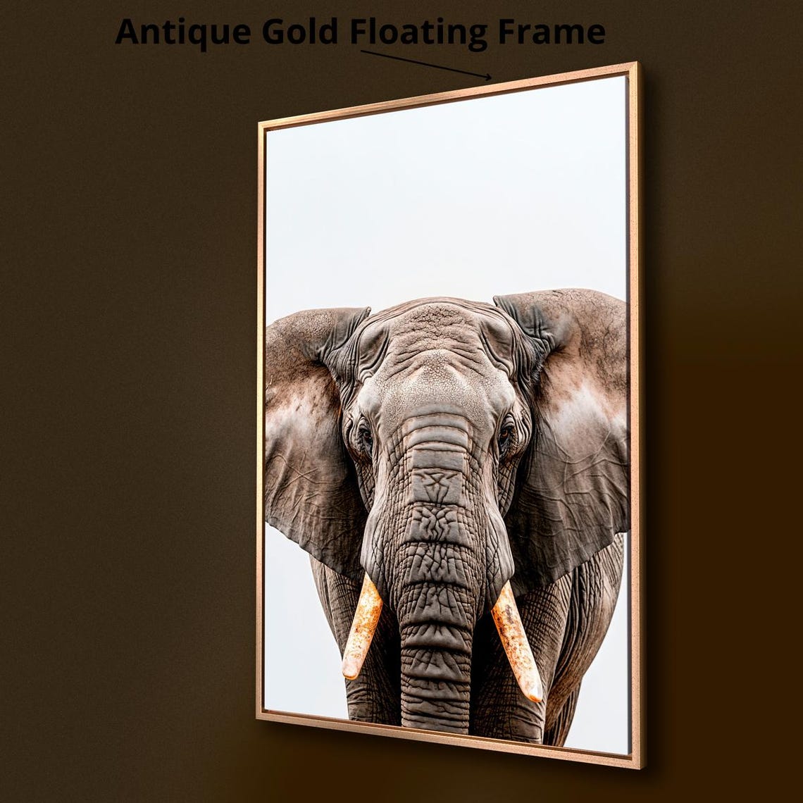 African Elephant Close Up Portrait Tusks Wildlife Photography Poster - Image 2