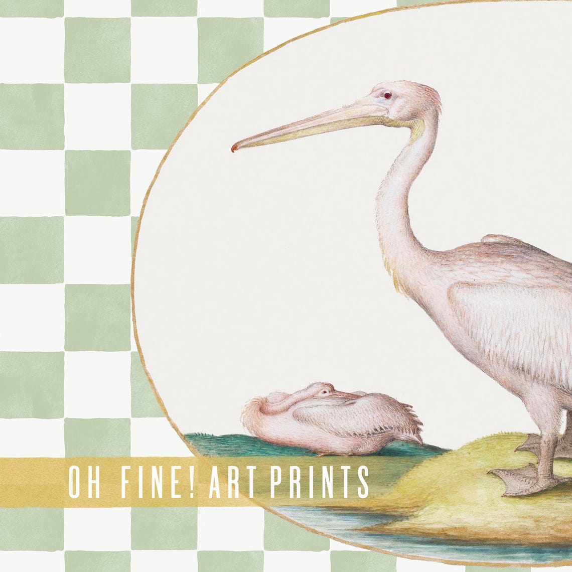 White Pelican Pair Sage Green Checkerboard Vintage Bird Poster - Image 2