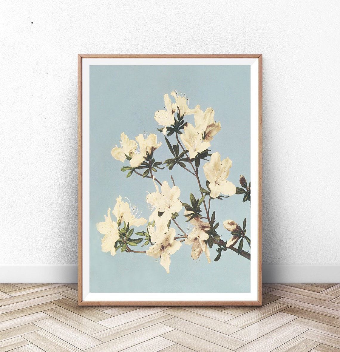 White Azalea Blossoms Ogawa Kazumasa Botanical Floral Art Print