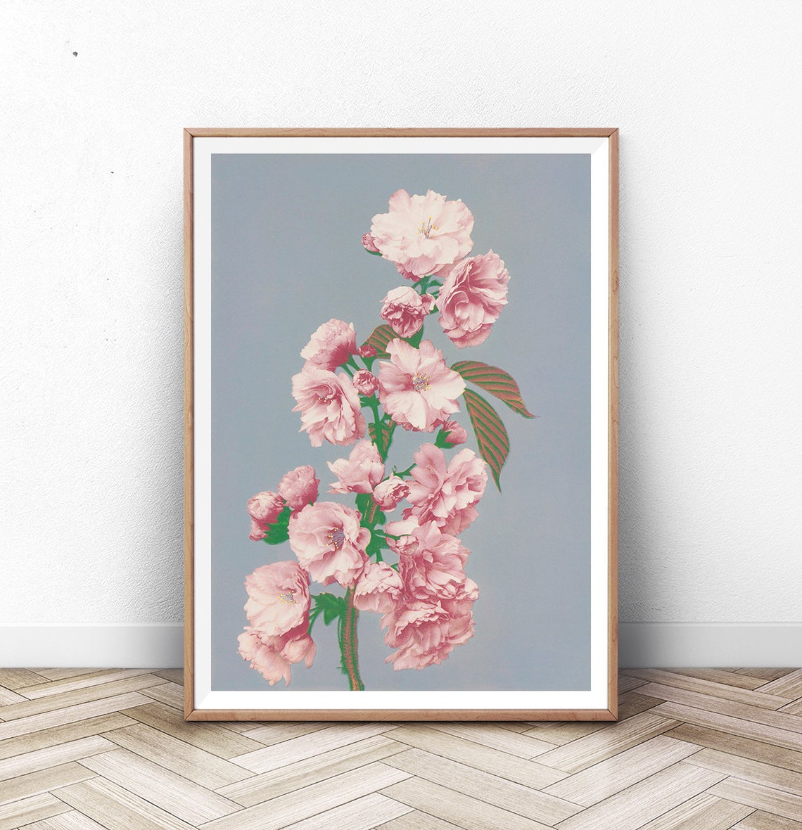 Ogawa Kazumasa Cherry Blossom Pink Sakura Vintage Botanical Poster