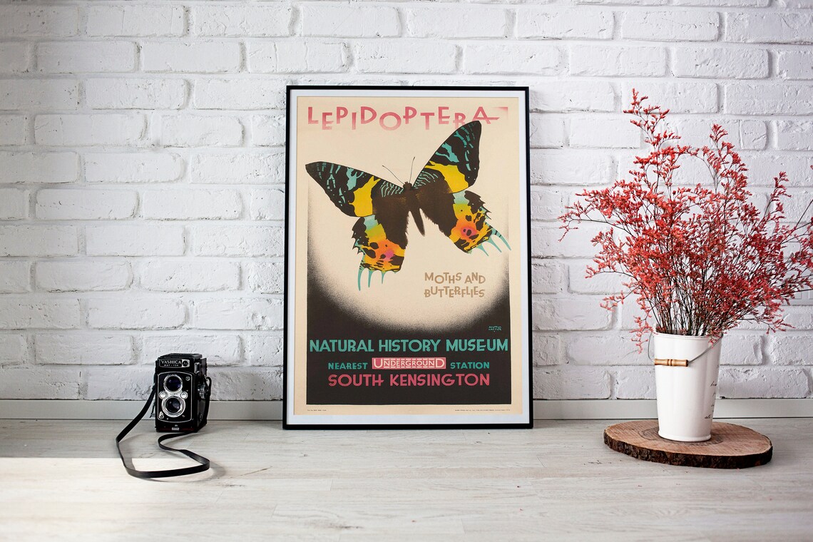 Butterfly Museum Poster, Retro Austin Cooper Art Print - Image 2