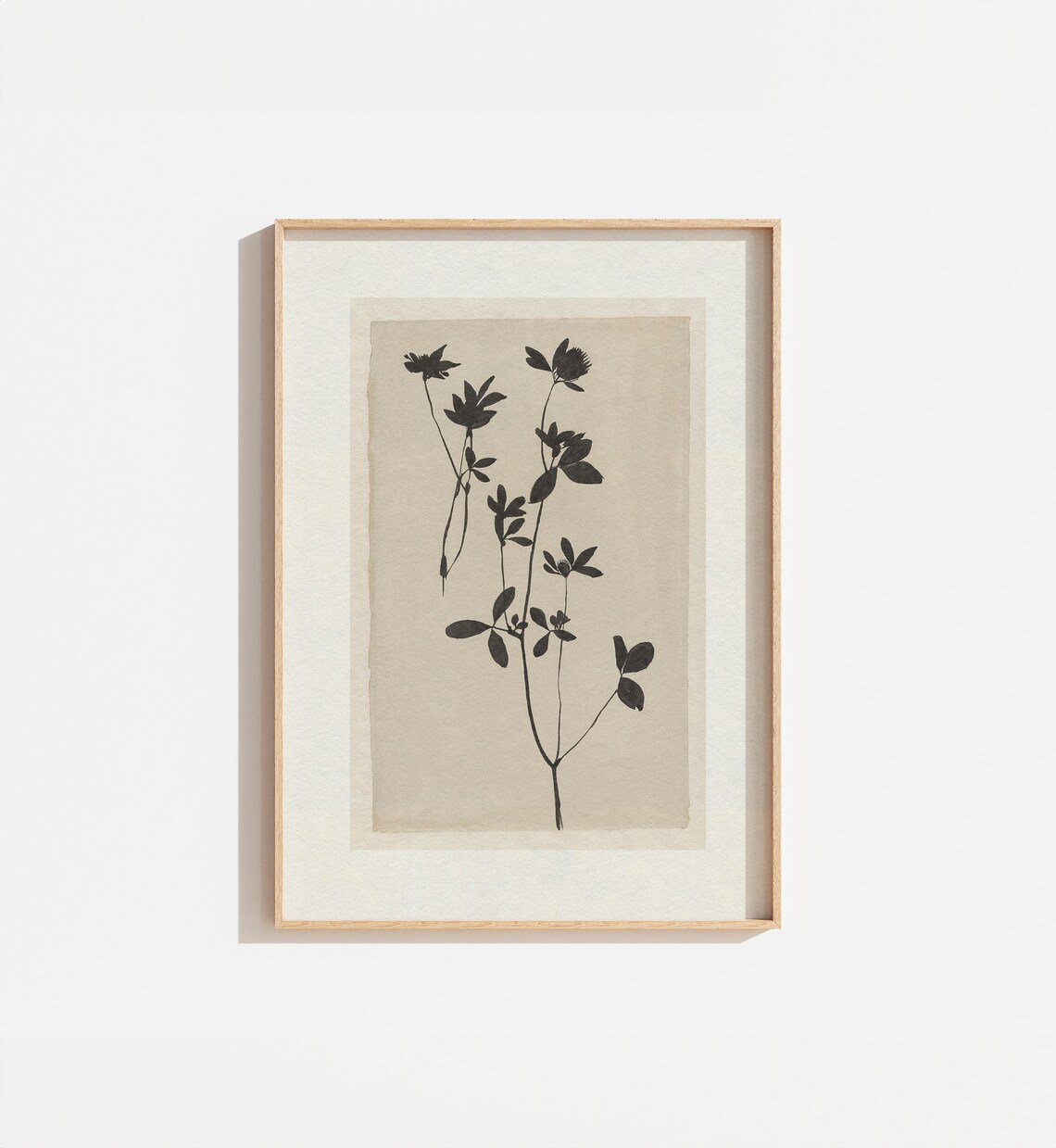 Vintage Cream Botanical Wall Print, Antique Flower Painting