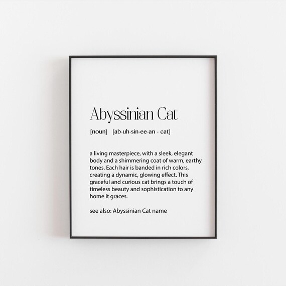Abyssinian Cat Definition Poster Elegant Breed Tribute Artwork