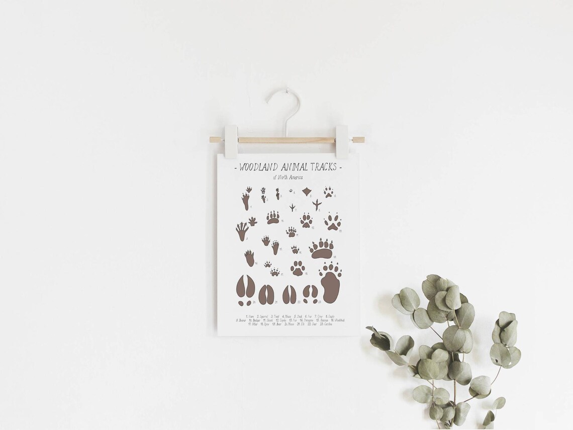Animal Tracks Woodland Nursery Art Print - Image 2
