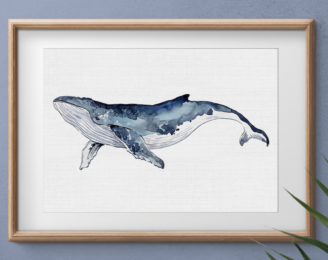 Humpback Whale Watercolor Art Print, Nursery Decor - Image 3