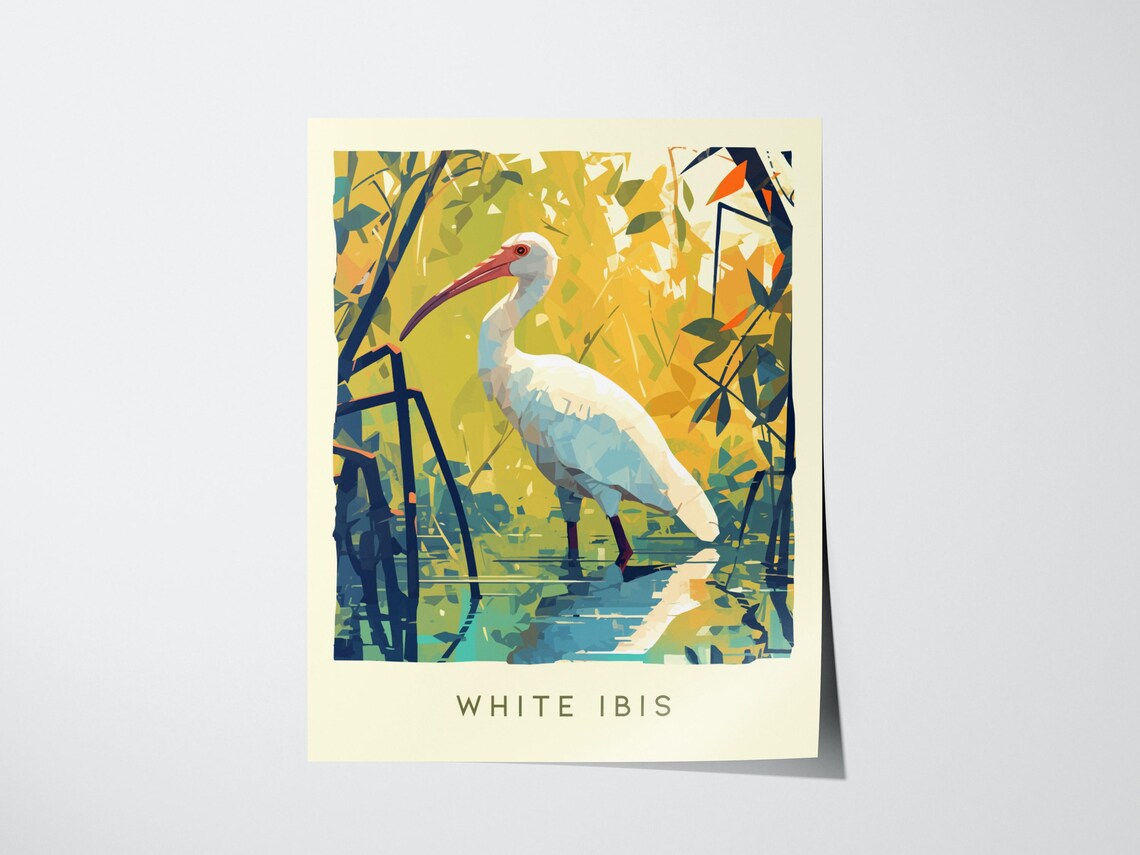 White Ibis Bird Wildlife Florida Wetlands Watercolor Art Poster