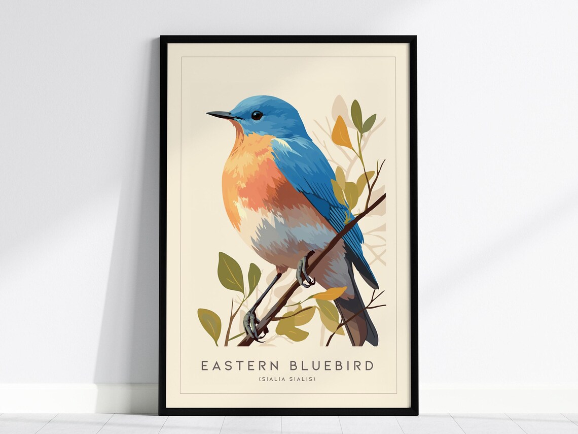 Eastern Bluebird Art Print, Modern Nature Audubon Style