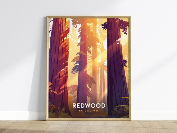 Redwood National Park Sunset Tall Trees Forest Nature Art Poster
