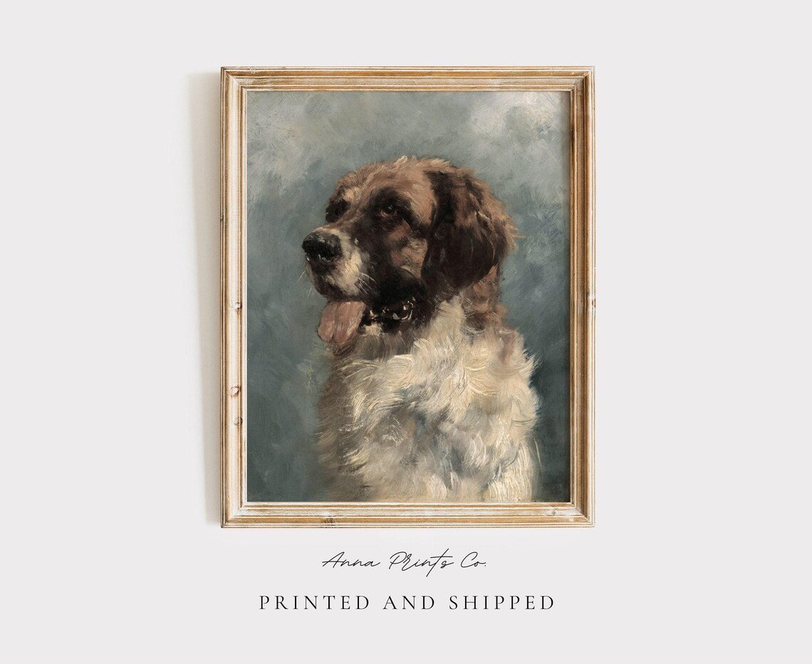 Saint Bernard Vintage Painting Reproduction Art Print