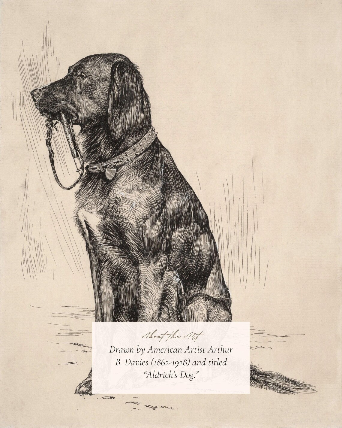 Antique Labrador Drawing, Vintage Dog Art Print - Image 2