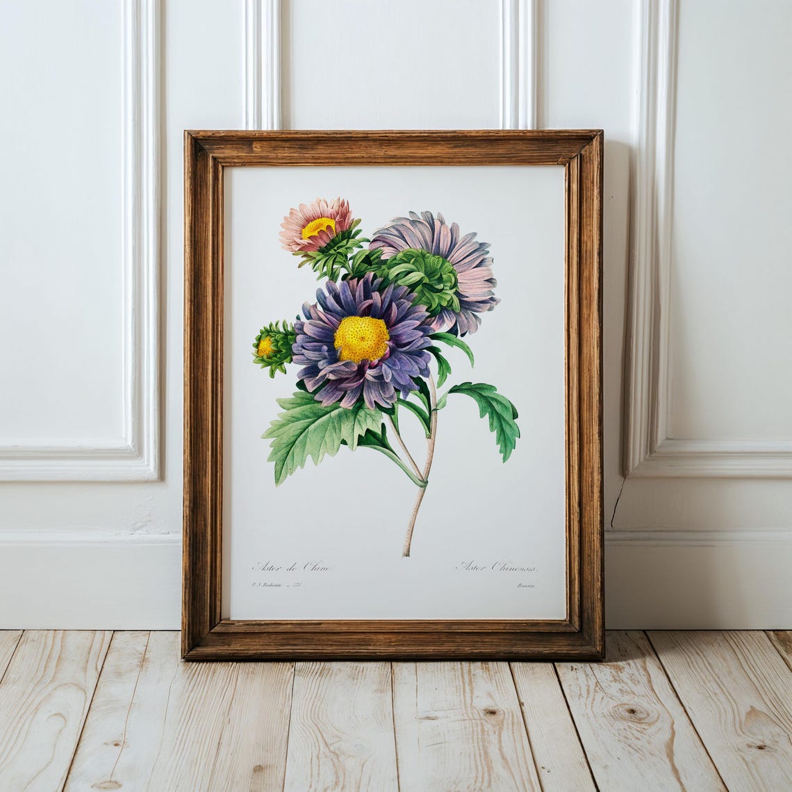 Redoute Purple China Aster Vintage Floral Botanical Art Poster