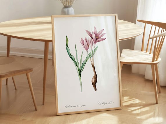 Autumn Crocus Art Print Vintage Floral Painting Pierrejoseph Redout