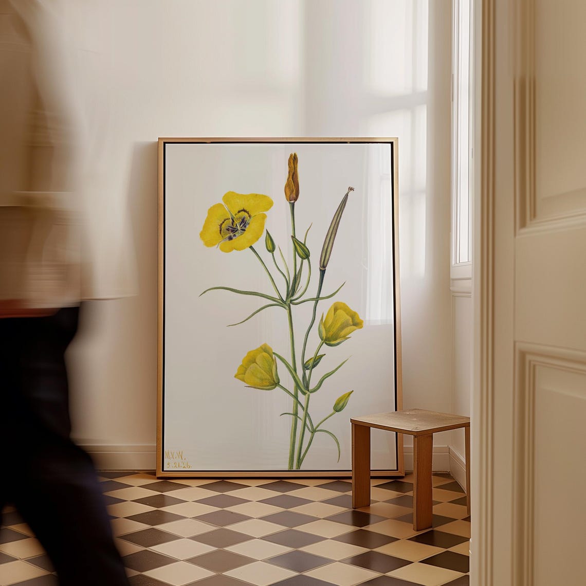 Mary Vaux Walcott Goldenbowl Mariposa Lily Wildflower Botanical Poster