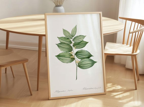 King Solomons Seal Art Print Vintage Botanical Canvas Wall