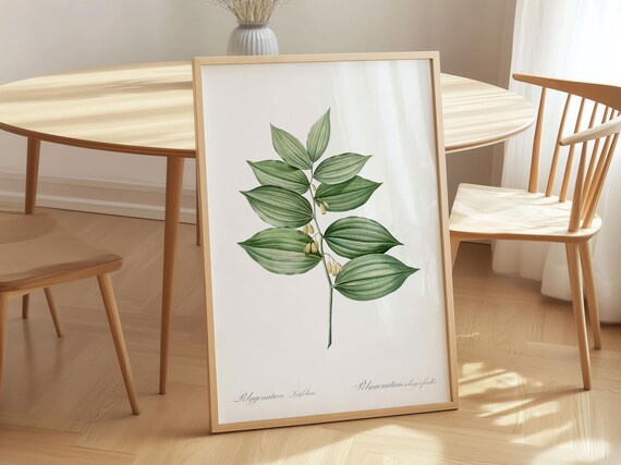 Solomons Seal Botanical Illustration Vintage Green Leaf Art Poster