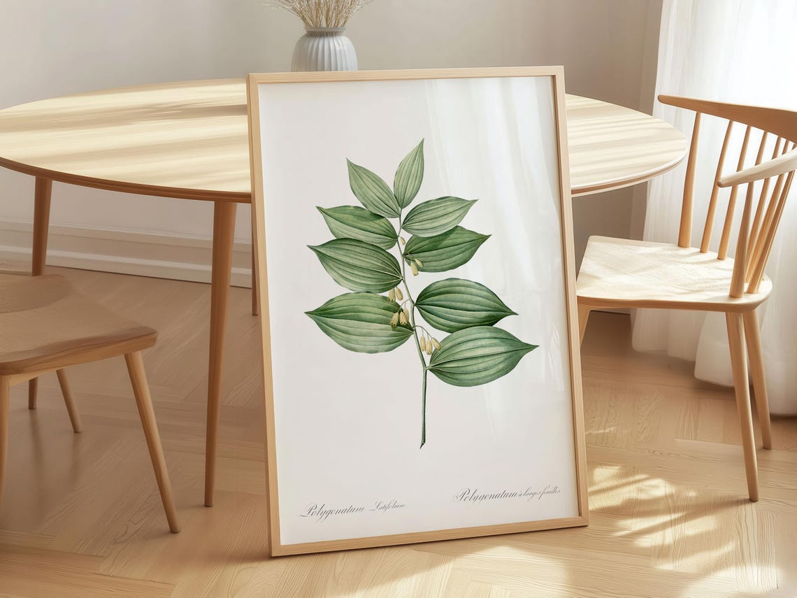 King Solomons Seal Art Print Vintage Botanical Canvas Wall