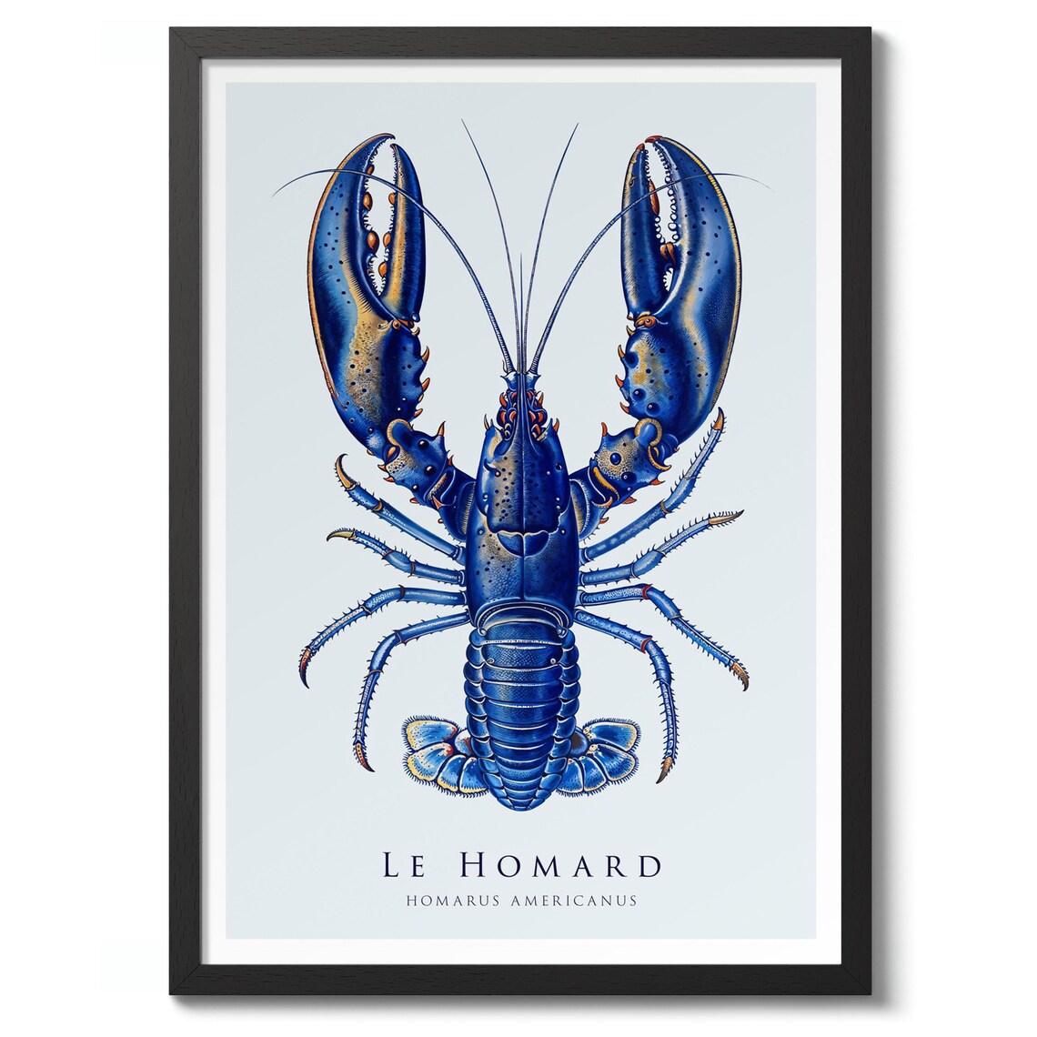 Lobster Illustration Art Print, Nature Poster