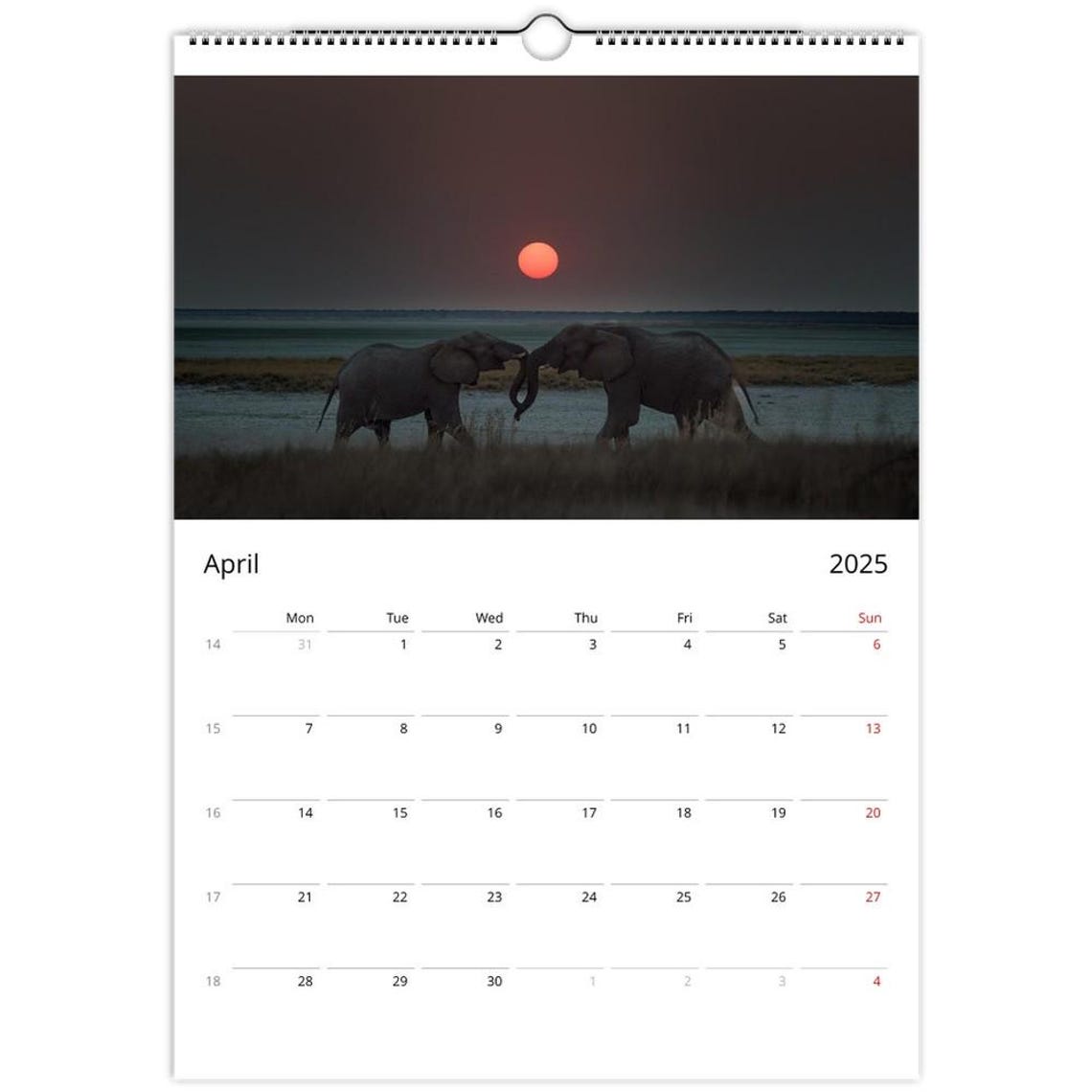 Namibia Giraffe Herd Safari Wall Calendar African Photography Print - Image 3