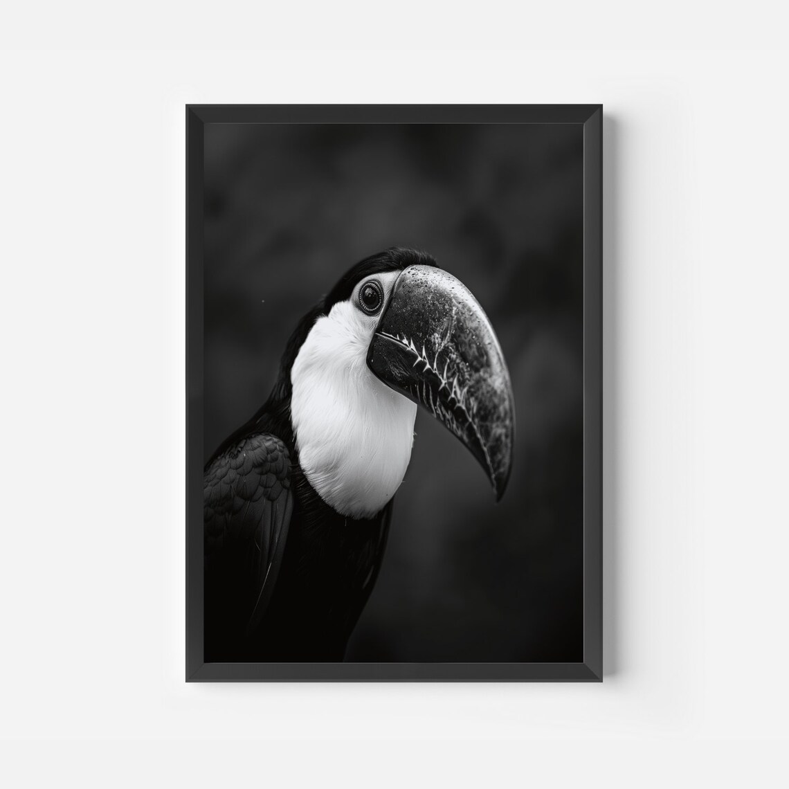 Toucan Black and White Wild Bird Tropical Photography Art Poster - Image 2