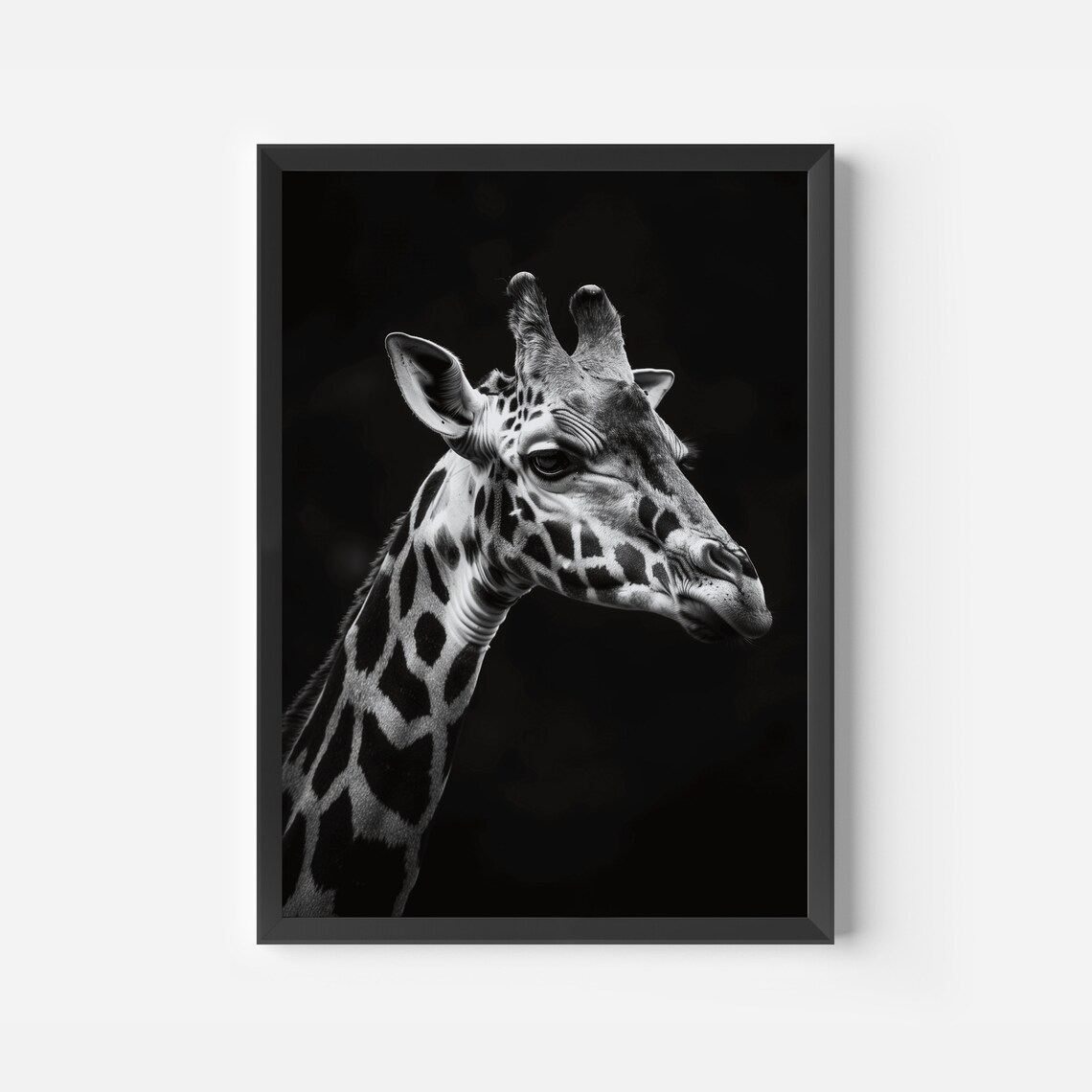 Giraffe Black and White Wild Animal Safari Photography Art Poster - Image 2