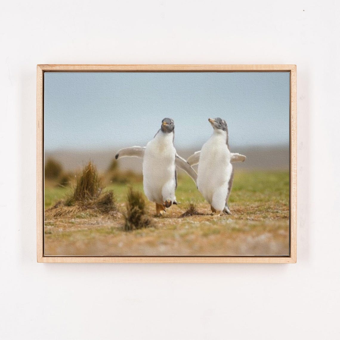 Happy Baby Penguins Waddling Together On The Beach Photo Poster - Image 4