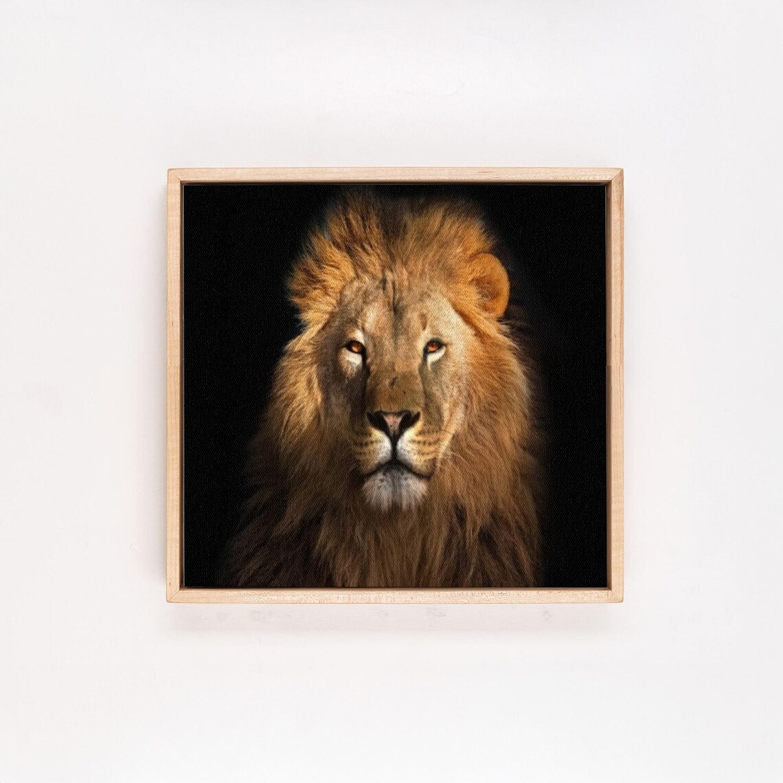 Majestic Lion Portrait On Black Background Wildlife Photo Poster - Image 4