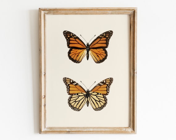 Monarch Butterfly Wall Art Vintage Butterfly Wall Decor Antique Farmhouse Illustration Art Print French Country Wall Art