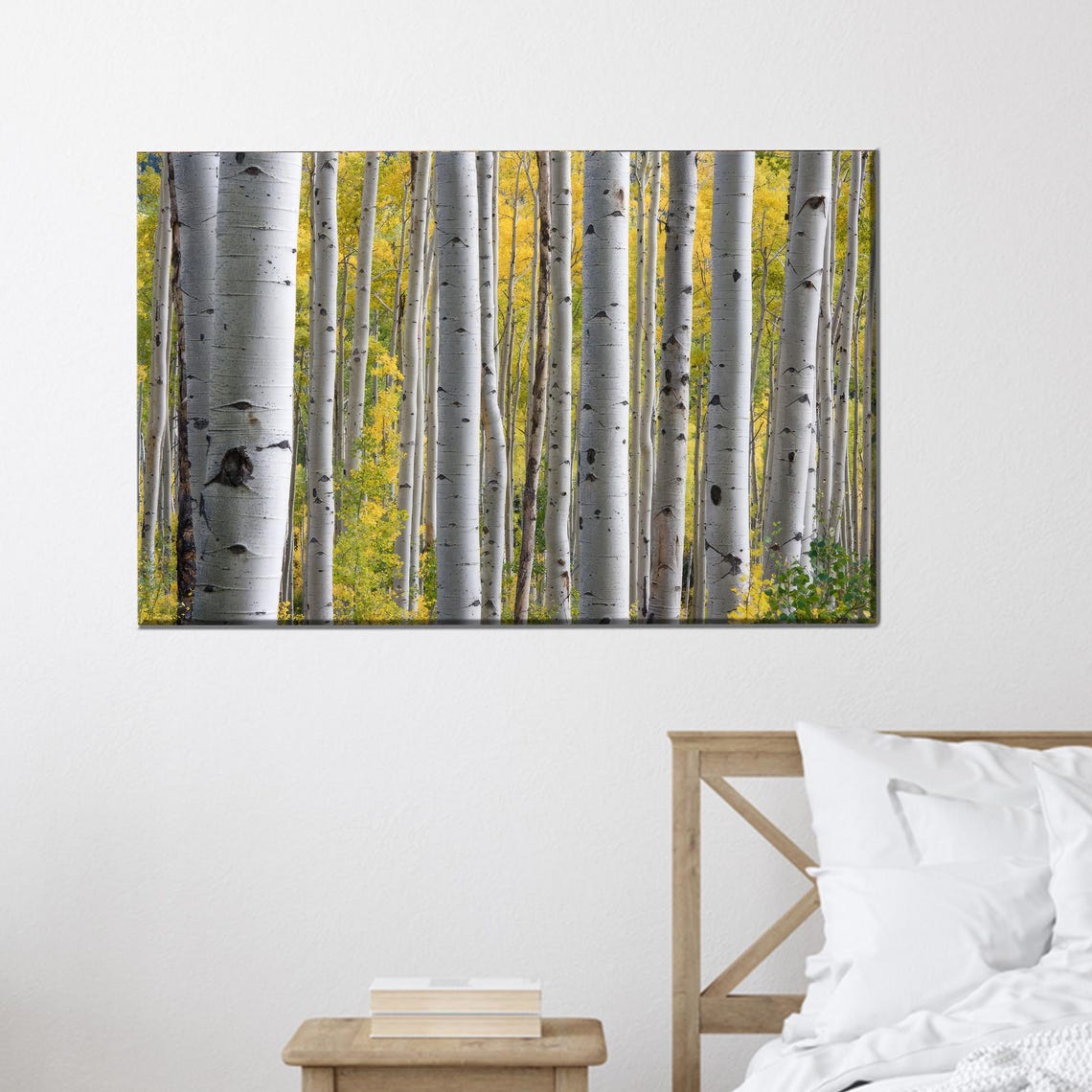 Golden Aspen Birch Forest White Trees Fall Foliage Photo Poster