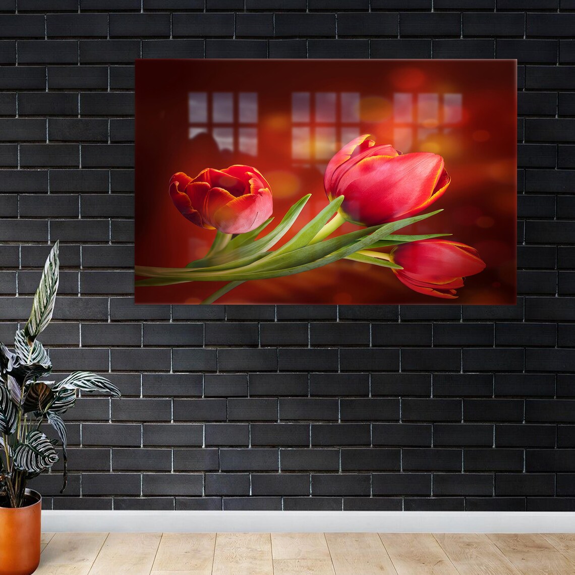 Red Tulips Blooming Against Dark Background Floral Photography Poster