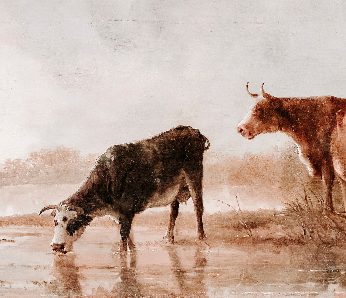 Vintage Cows Drinking At Misty Riverbank Oil Painting Poster - Image 2