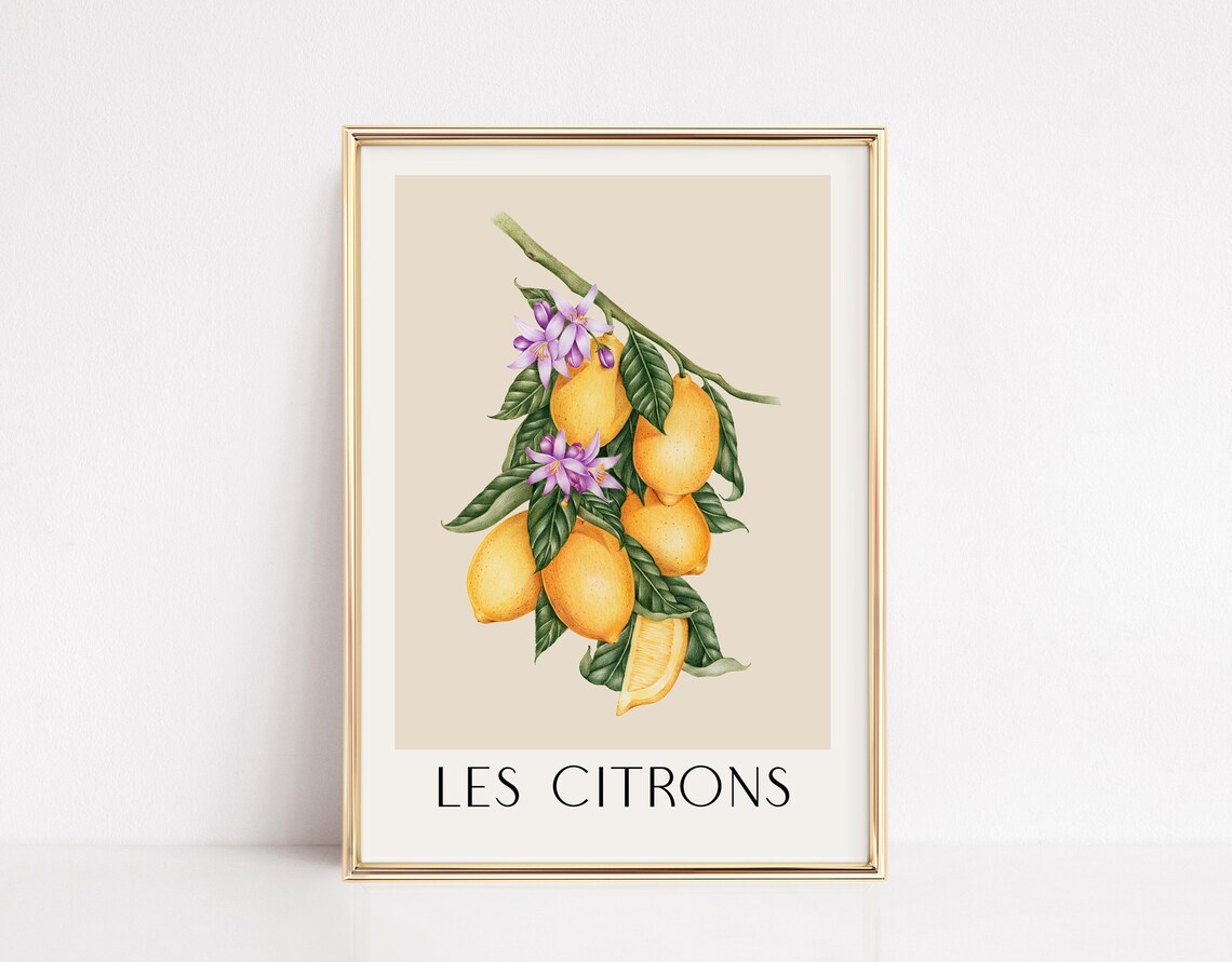 Les Citrons Vintage Lemons Travel Poster, Fruit Print