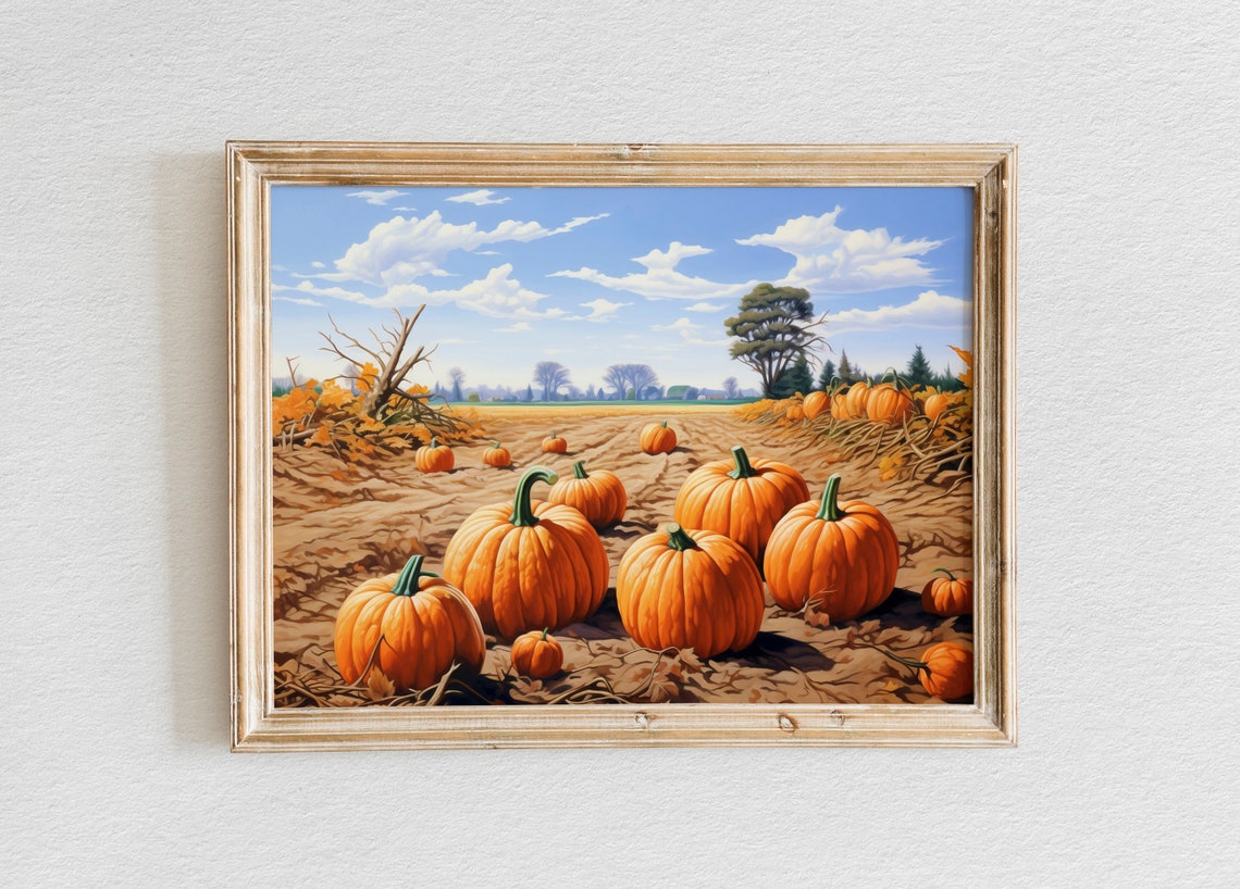 Rows of Pumpkins Stretching Across a Wide Autumn Harvest Field Poster