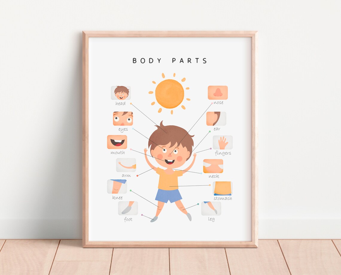 Body Parts Educational Poster, Nursery Classroom Decor - Image 3