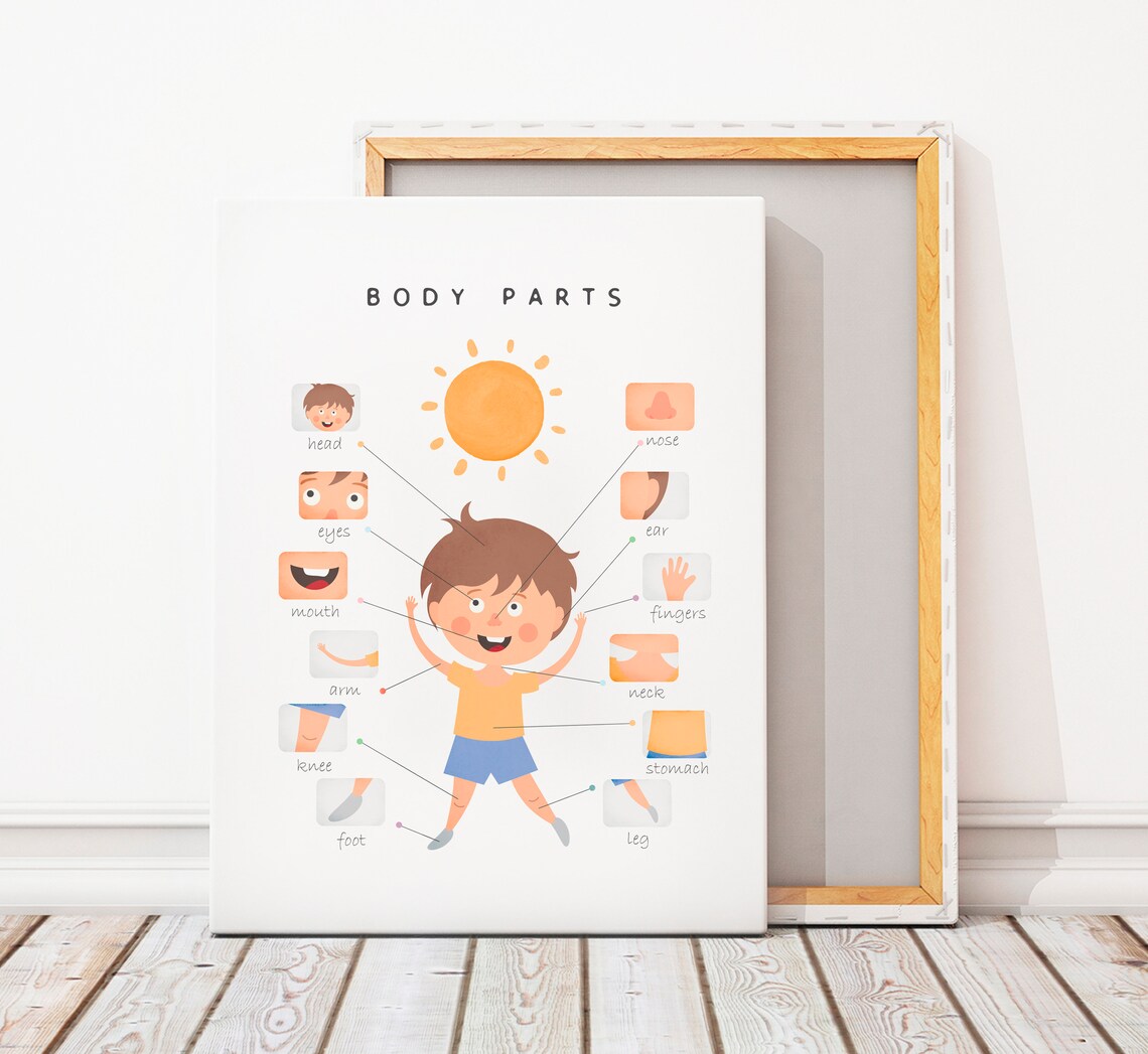Body Parts Educational Poster, Nursery Classroom Decor - Image 2