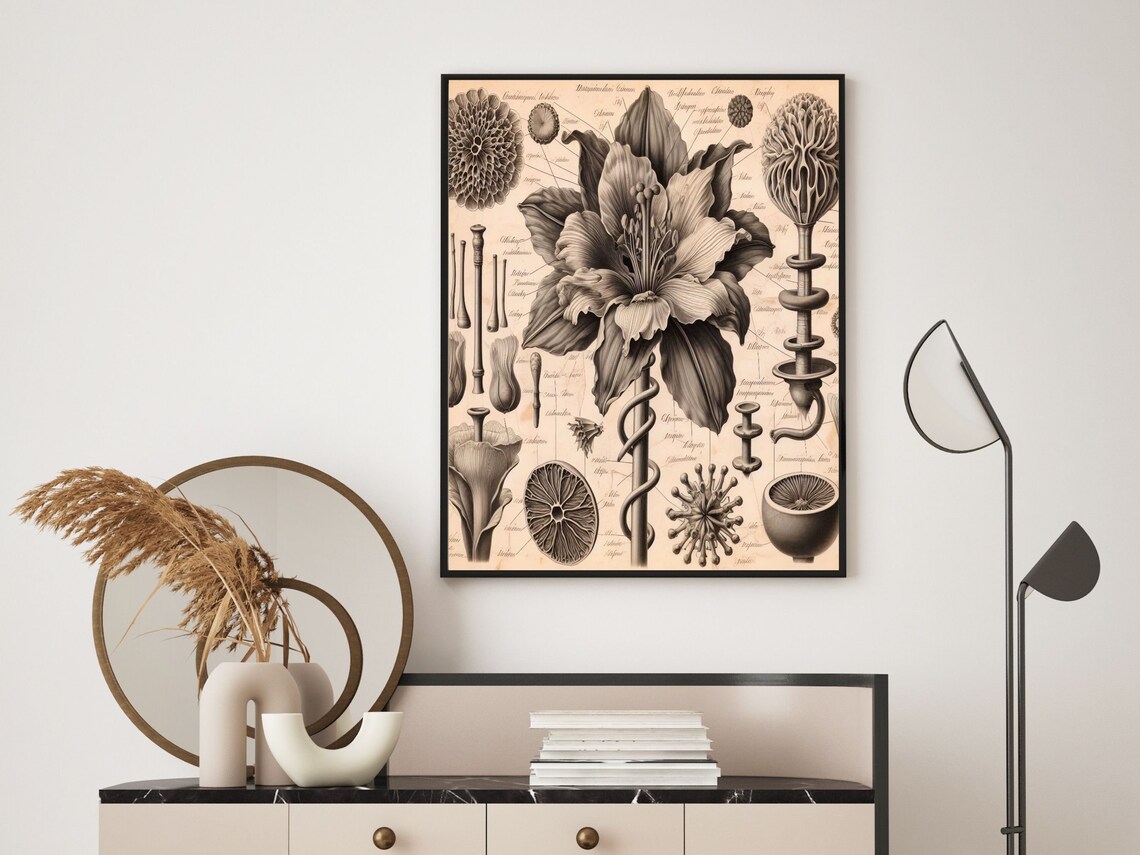 Vintage Botanical Anatomy Lily Sketch Antique Floral Wall Art - Image 3