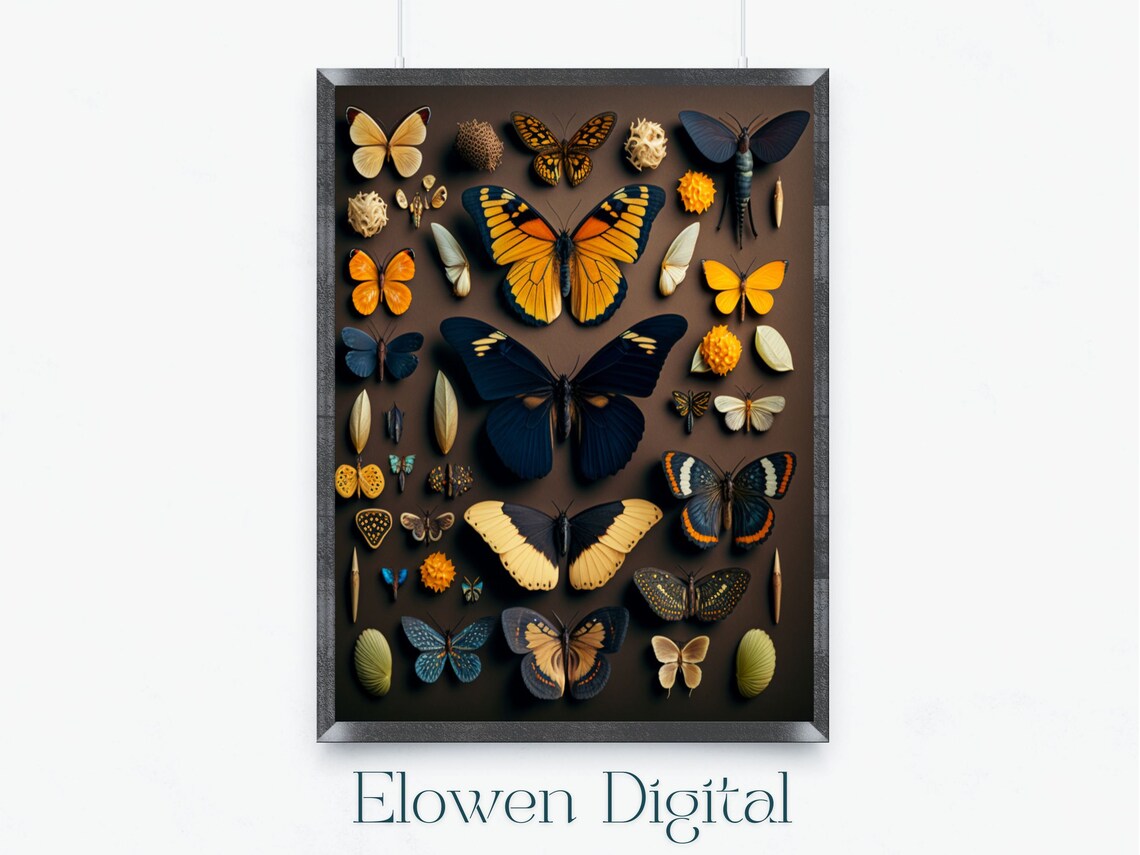 Vintage Butterfly Specimen Collection on Dark Amber Wall Poster