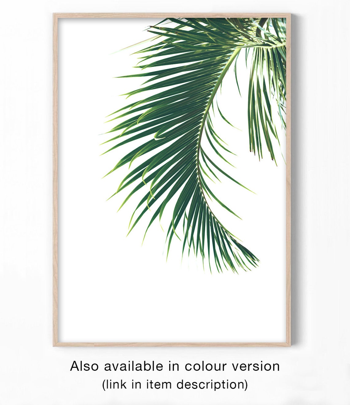 Black And White Palm Frond Tropical Leaf Photography Wall Art Print - Image 2