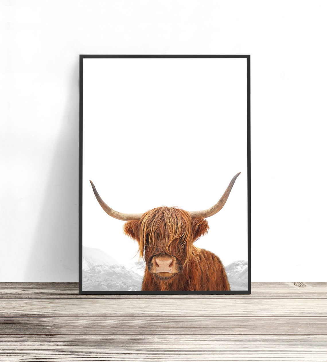 Highland Cow Shaggy Red Cattle Farm Animal Photography Wall Art Poster