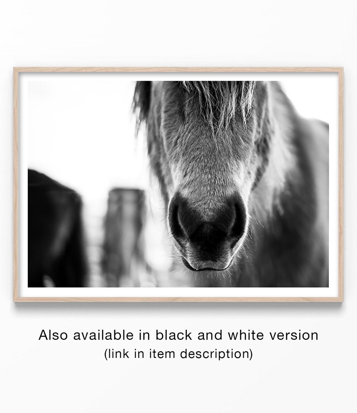 Horse Muzzle Close Up Soft Light Rustic Farm Photography Wall Poster - Image 2