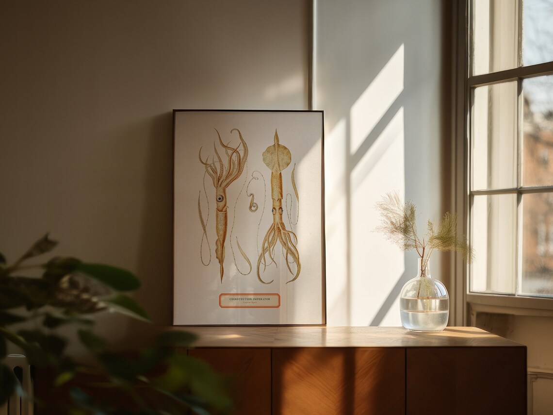 Emperor Squid Vintage Illustration Art Print - Image 3