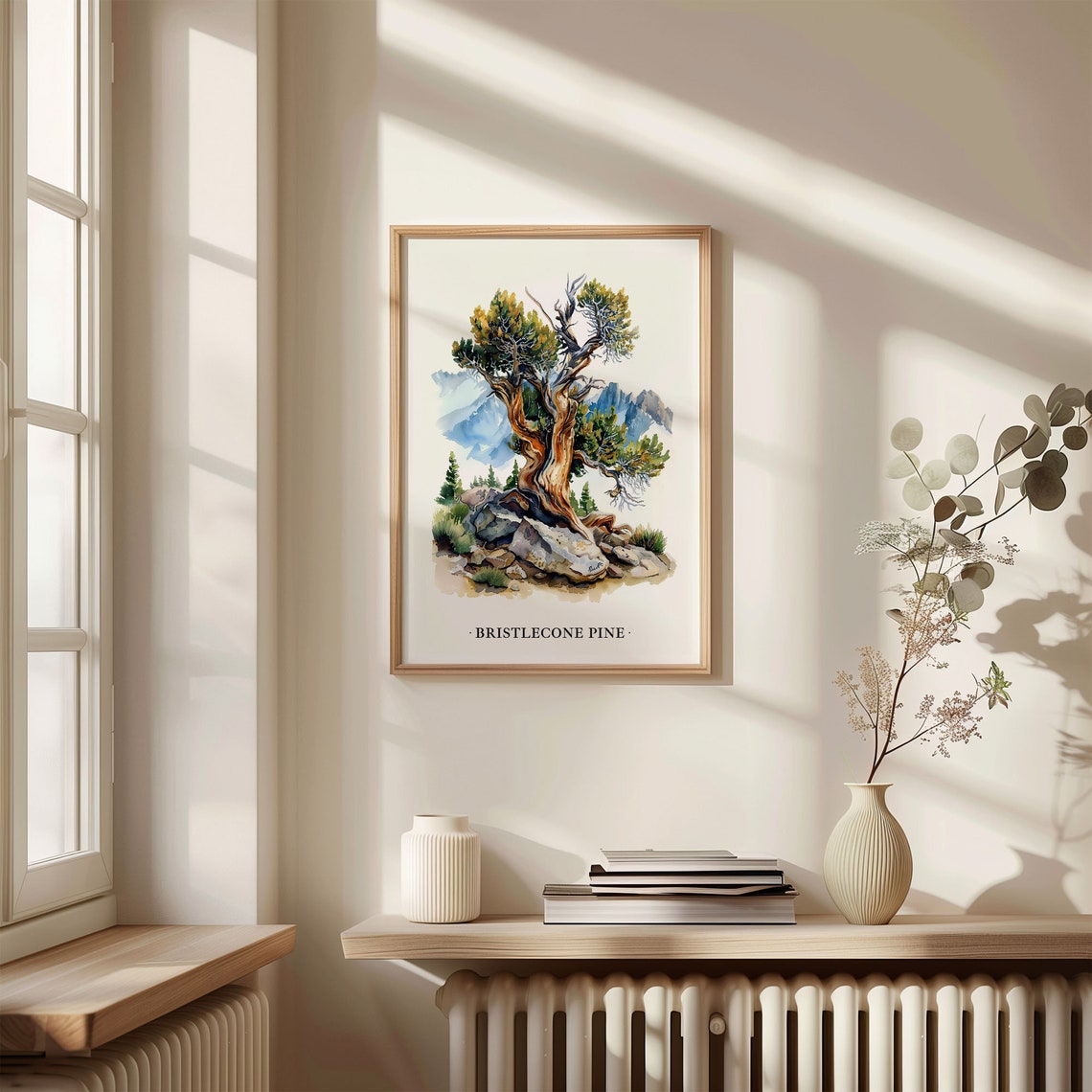 Bristlecone Pine Tree Watercolor Mountain Botanical Art Poster - Image 3